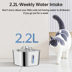 2.2L/74OZ Automatic Cat Fountain Stainless Steel Pet Water Dispenser Silent Water Pump Circulation Filtering Visual Window