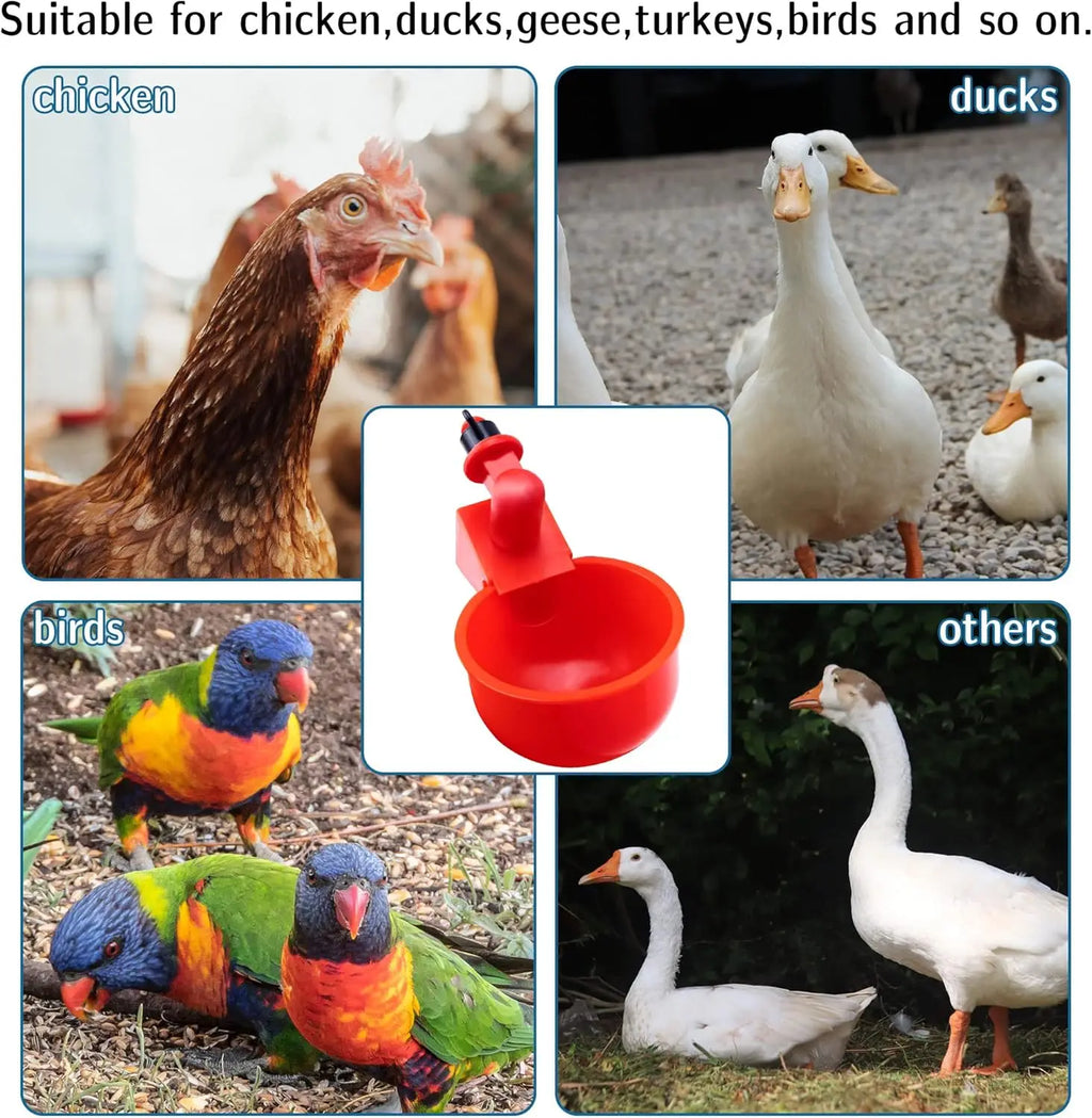 Chicken Drinking Bowl Poultry Automatic Water Dispenser Pigeon Automatic Water Dispenser Small Chick Feeding Bowl Chicken Coop