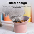 Tilted Cat Food Bowl Elevated Cat Bowl Ergonomic Cat Food Dish Anti Vomiting Plastic Feeding Bowl Non Slip for Flat- Faced Cats
