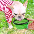 Portable Pet Food Bowl Durable TPR Bowl Cat and Dog Food Pet Silicone Collapsible Bowl Portable Travel Outdoor Water Food Bowl