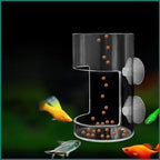 Aquarium Feeding Ring Floating Food Tray Feeder with Suction Cups Floating Food Feeder Square/Round for Fish Tank