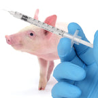 20/50/100Pcs Disposable Veterinary Syringe Manual Push Syringe 0.3/0.5/1ml Needle Farm Animal Syringe with Needles Cat Dog Pig