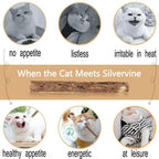 15pcs Natural Matatabi Cat Catnip Toy Kitten Molar Chew Stick Pet Cleaning Teeth Cat Treat Toy Actinidia Silvervine Pet Products