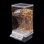 1PC Parrot Feeder Anti-Spill Transparent Bird Food Box Clear Feeding Device for Parrots Durable Bird Feeding Box
