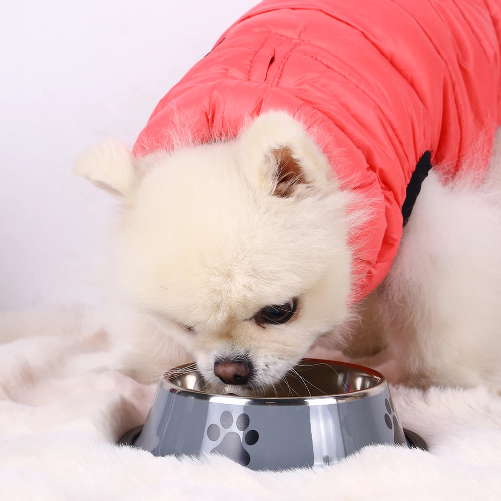 Stainless Steel Pet Bowl Cat Dog Food Bowl Multi-Specification Anti-fall Food Bowl Food Bowl Feeding Pet Supplies 16 To 22 Cm