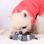 Stainless Steel Pet Bowl Cat Dog Food Bowl Multi-Specification Anti-fall Food Bowl Food Bowl Feeding Pet Supplies 16 To 22 Cm