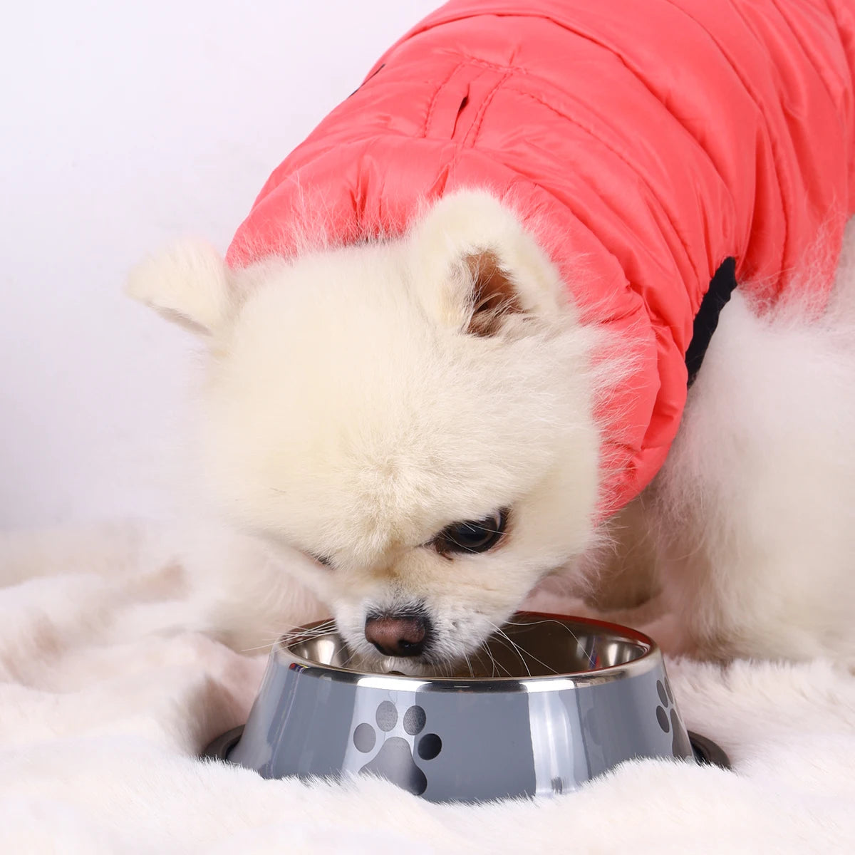 Stainless Steel Pet Bowl Cat Dog Food Bowl Multi-Specification Anti-fall Food Bowl Food Bowl Feeding Pet Supplies 16 To 22 Cm