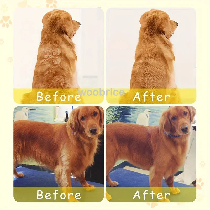 3 in 1 Pet Brush Cat Steam Brush Comb Dog Brush Electric Spray Cat Hair Brushes Massage Pet Grooming Hair Removal Combs