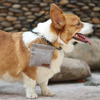Dog Training Snack Bag Outdoor Travel Pet Dog Treat Pouch Portable Oil Resistance Food Dispenser Bag Durable Pet Accessories