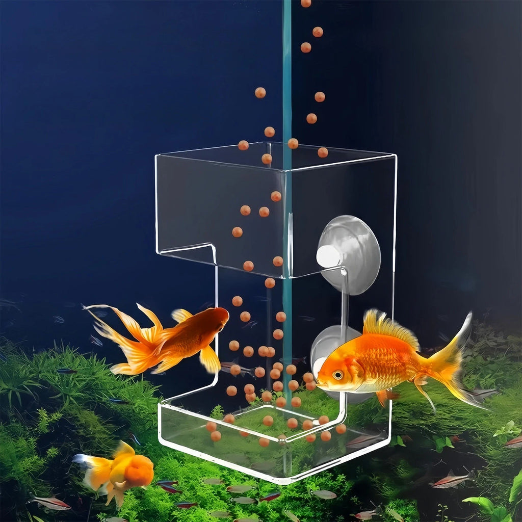 Aquarium Feeding Ring Floating Food Tray Feeder with Suction Cups Floating Food Feeder Square/Round for Fish Tank