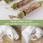 1pc Cat Cleaning Teeth Pure Natural Catnip Cat Molar Toothpaste Stick Silvervine Actinidia Fruit Matatabi Cat Snack Stick
