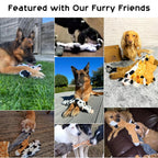 5PCS Crinkle Plush Dog Squeaky Toys Fox Giraffe Squirrel Cow Donkey Style, No Stuffing Dog Toys for Small Medium Large Dogs