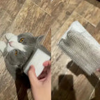 Cat Massage Brush Tongue Sensory Cleaning Brush Soft Cat and Dog Tongue Coating Brush Double-sided Sponge Cat Tongue Comb