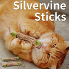 1pc Cat Cleaning Teeth Pure Natural Catnip Cat Molar Toothpaste Stick Silvervine Actinidia Fruit Matatabi Cat Snack Stick