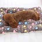 Soft Dog Bed Winter Warm Dog Sleeping Mat Thickened Pet Mat for Small Medium Large Dogs Cute Print Pet Blanket Pet Supplies