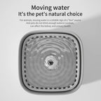 3L Large Capacity Canine Cat Dog Pet Circulating Filter Pet Fountain Feeder Automatic Water Dispenser with USB Port for Pets