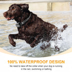 Remote Control Waterproof Pet BehaviorFor 8-150lbs Puppy With Shock Vibration 3300Ft Electric Dog Training Collar for all dogs