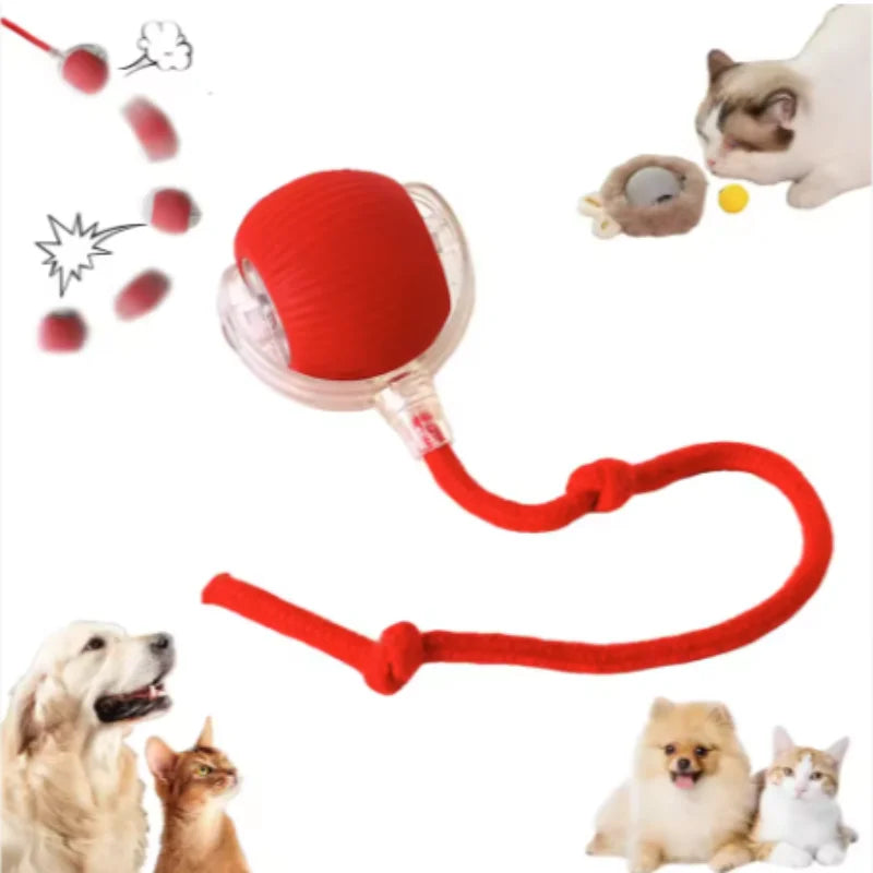 New Automatic Interactive Cat Ball Toy Rechargeable Smart Electric Rolling Ball with Faux Tail for Dog And Cat Training