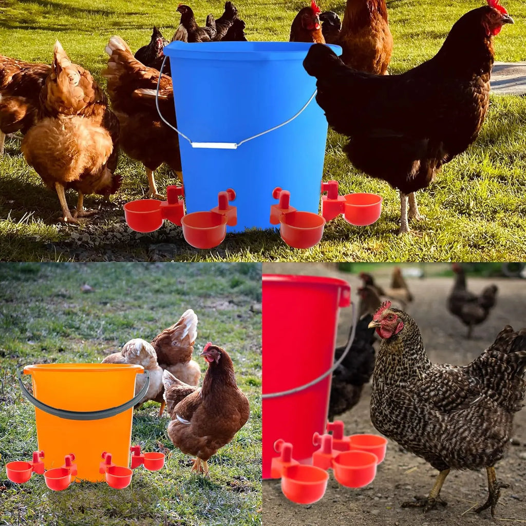 Chicken Drinking Bowl Poultry Automatic Water Dispenser Pigeon Automatic Water Dispenser Small Chick Feeding Bowl Chicken Coop
