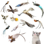 Funny Bird Feather Cat Wand With Bell Accessories Interactive Toys For Cats Kitten Hunting Teaser Exercise Pet Products