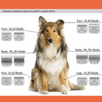 Dog Grooming Clipper Replacement Blades Compatible with Andis Pet Clipper/Oster-A5/Wahl KM-10 Series Dog Clipper